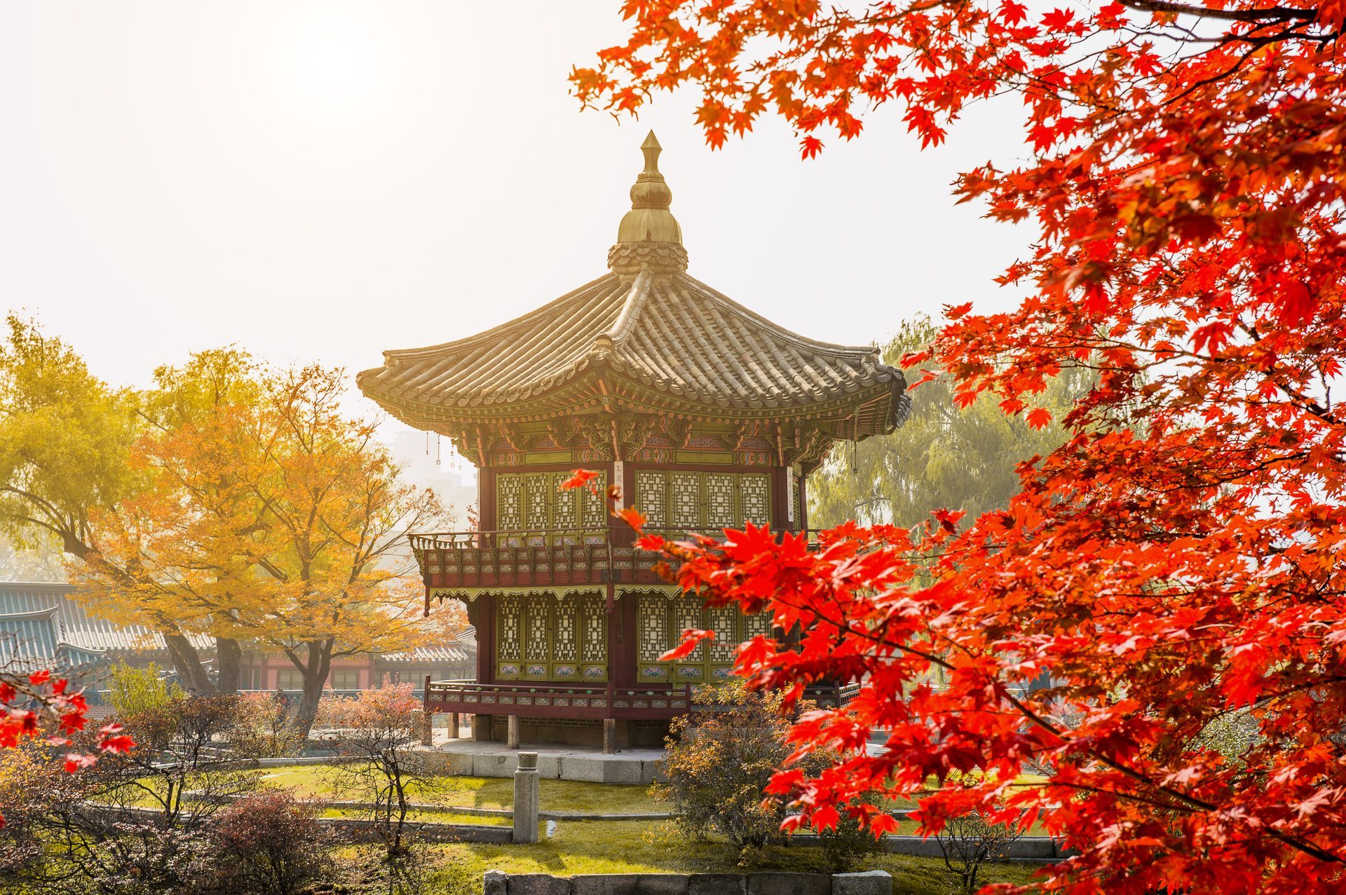 Palácio de Gyeongbokgung em outono, Seul